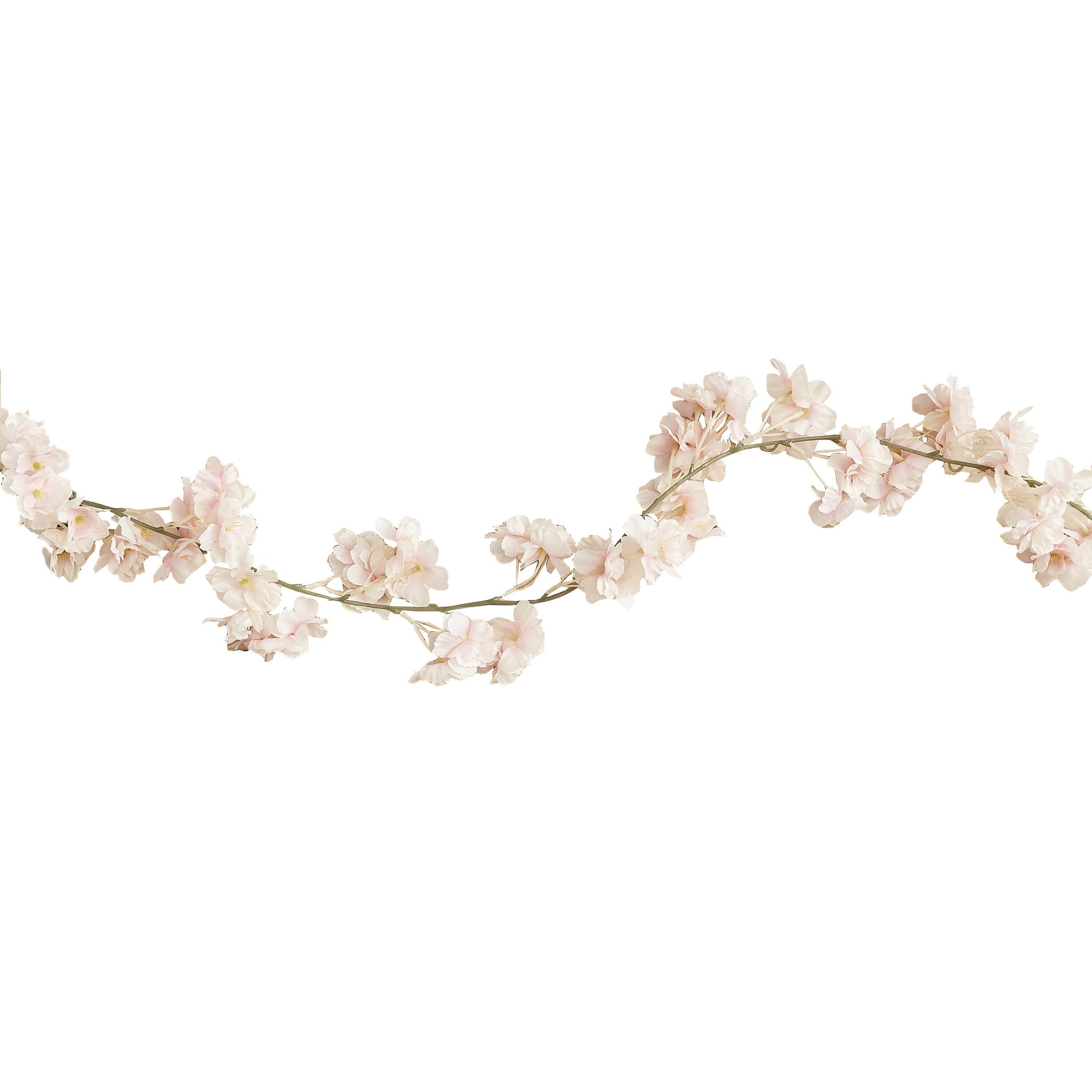 Kirsikankukkaköynnös 180 cm
